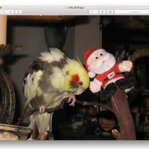 Meet your Posher, Michelle